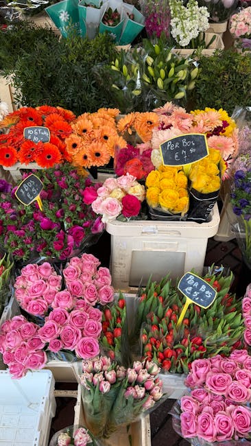 A vibrant display of fresh flowers at Forest Hill Florist, featuring an assortment of brightly coloured blooms arranged in various containers. Prominent are pink roses with tightly packed petals, and 